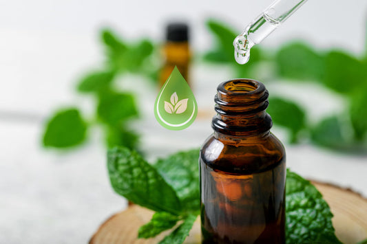 Beliebte ätherische Öle: Natürliche Helfer für Gesundheit, Haushalt und Schönheit