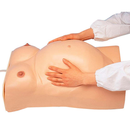 Schwangerschaftsuntersuchungs-Modell mit Bauchattrappe und aufliegender Hand