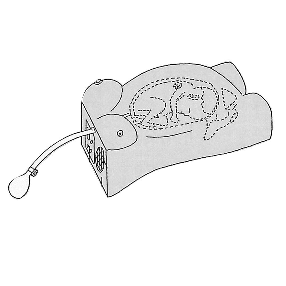 Schema eines Schwangerschaftsuntersuchungs-Modells mit Kabel und Herzton-Simulation